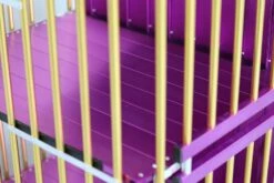 Aeolus 4-Berth Show Trolley With 4" Nylon Wheels - Large [Gold And Purple] -Pet Supplies Sale T KB511NAF GP Kit 4