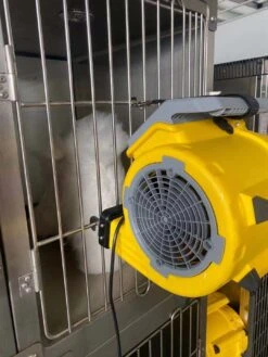 Aeolus Mini Cage Dryer -Pet Supplies Sale T TD903Mini 4