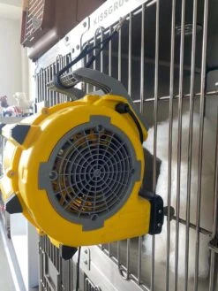 Aeolus Mini Cage Dryer -Pet Supplies Sale T TD903Mini 5