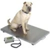 Stainless Steel Walk On Animal Scale [Medium] -Pet Supplies Sale T WOS3624