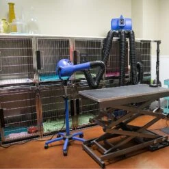 XPower Pro Finishing Plus Anionic Stand Dryer B18 -Pet Supplies Sale XP B18 5