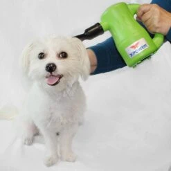 XPower Airrow Pro Dryer Air Pump Duster Blower B53 [Green] -Pet Supplies Sale XP B53 GR 4